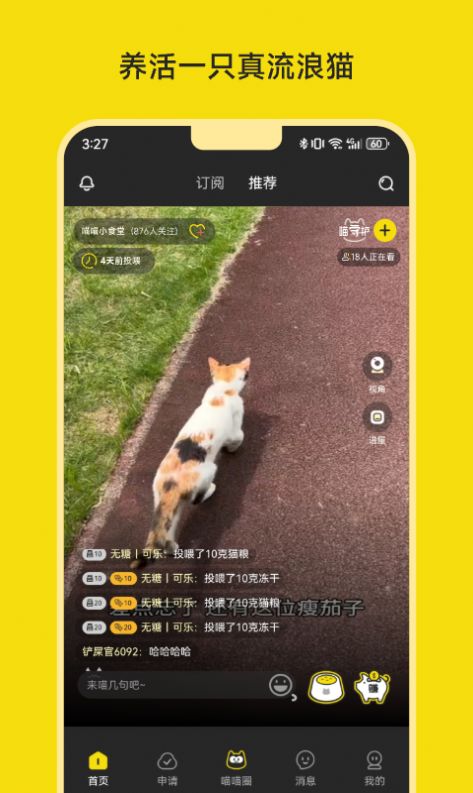 喵喵不易