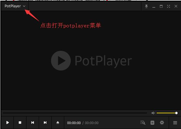 POTPLAYER