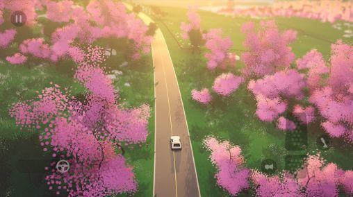 art of rally