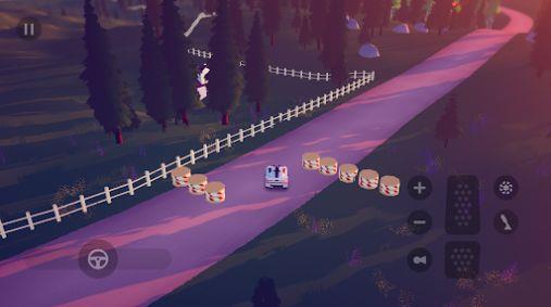 art of rally
