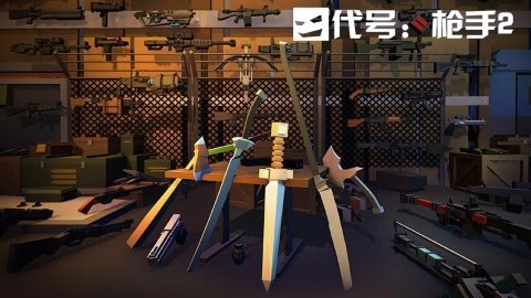 代号：枪手2
