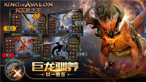 阿瓦隆之王国际版