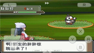 口袋妖怪 白金