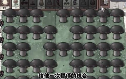 pvz二战版