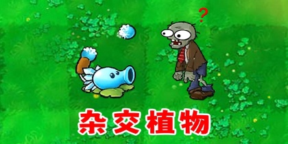 pvz杂交版手机版