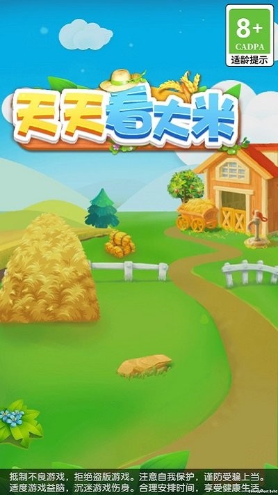 天天看大米